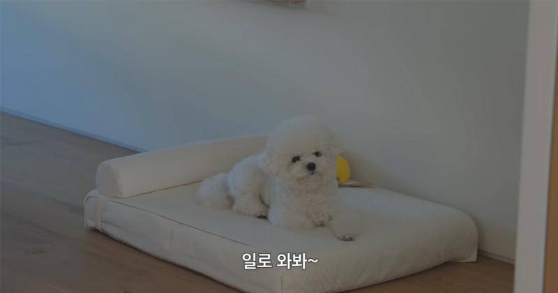 Youtube.com/걍밍경